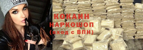 СК Алзамай